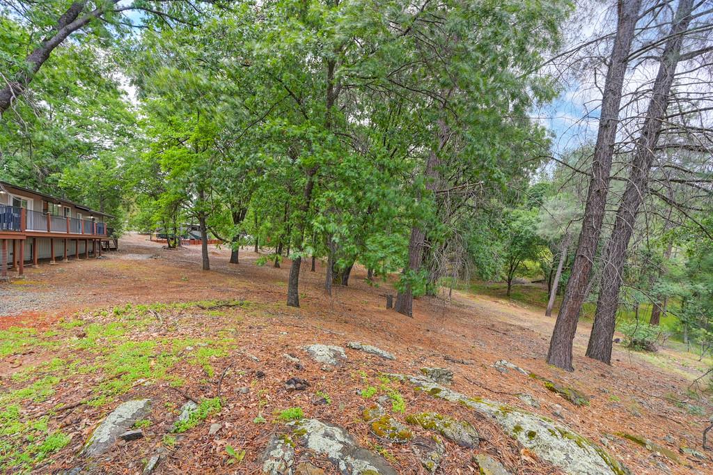 Detail Gallery Image 83 of 90 For 25375 Pineview Dr, Colfax,  CA 95713 - 3 Beds | 2 Baths