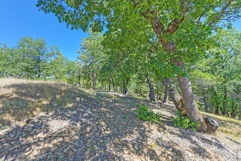 Detail Gallery Image 41 of 59 For 0 John Muir Dr, Colfax,  CA 95713 - – Beds | – Baths