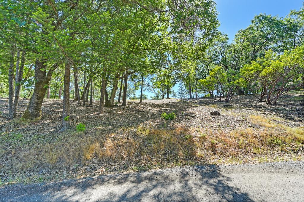 Detail Gallery Image 36 of 59 For 0 John Muir Dr, Colfax,  CA 95713 - – Beds | – Baths