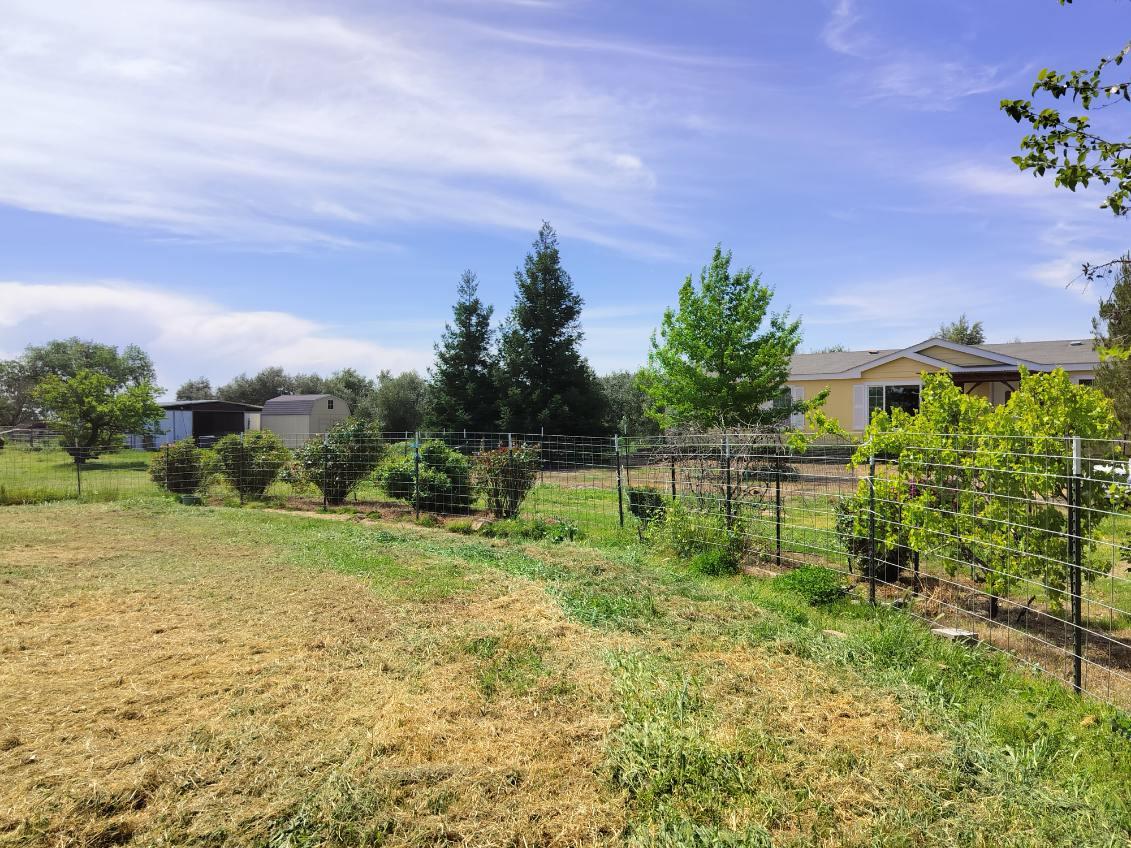 Detail Gallery Image 25 of 33 For 5731 State Highway 99w, Corning,  CA 96021 - 3 Beds | 2 Baths
