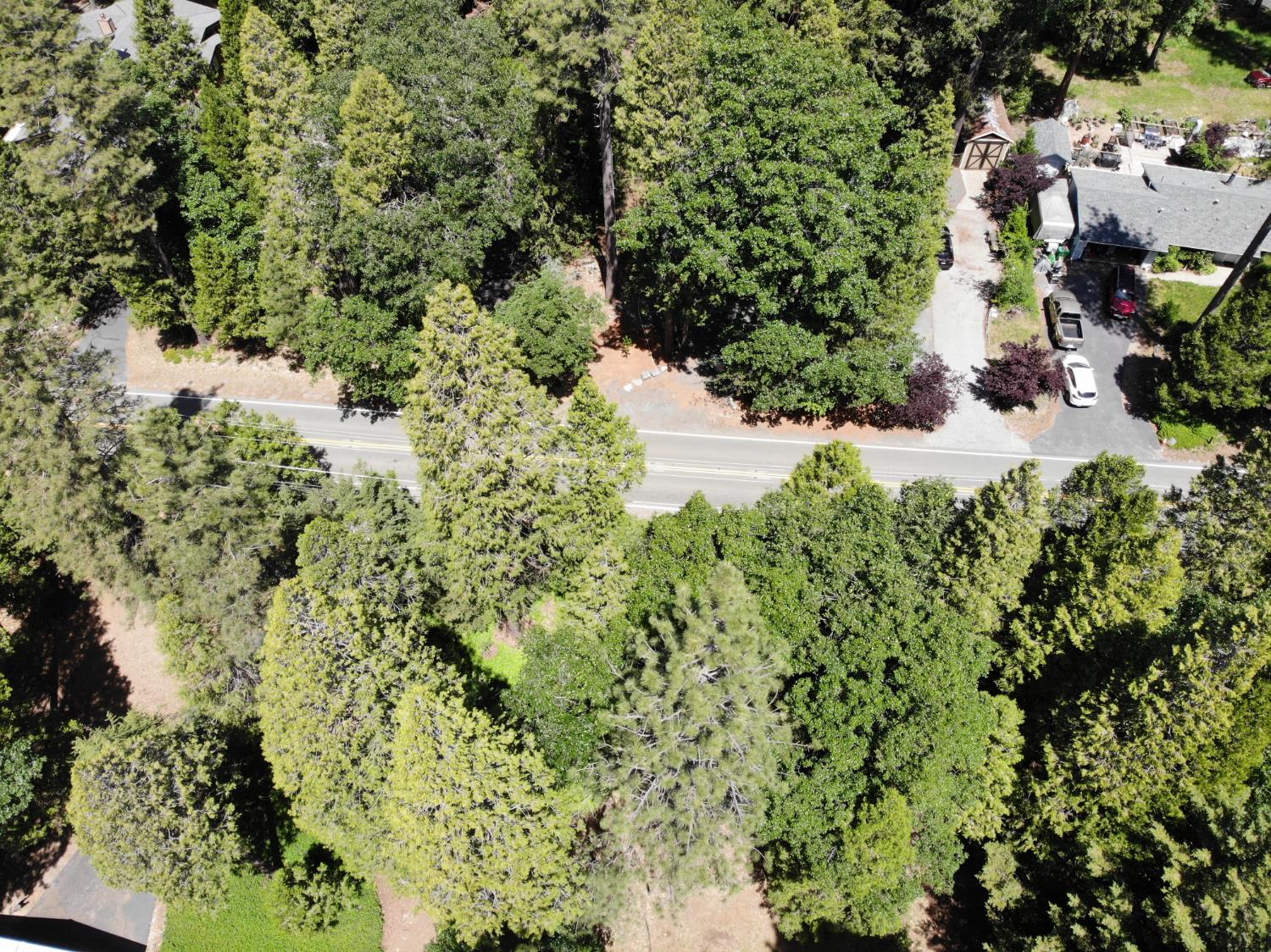 Quaker Hill Cross Road, Nevada City, California image 11