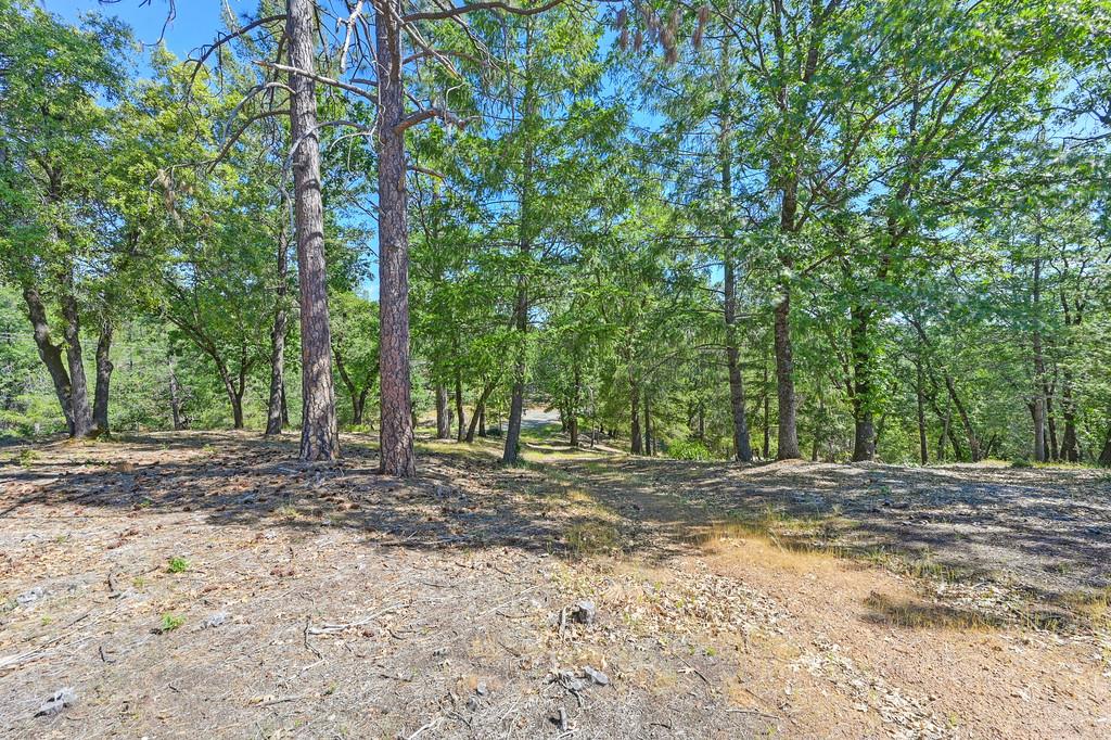 Detail Gallery Image 11 of 59 For 0 John Muir Dr, Colfax,  CA 95713 - – Beds | – Baths