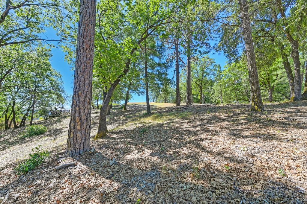 Detail Gallery Image 34 of 59 For 0 John Muir Dr, Colfax,  CA 95713 - – Beds | – Baths
