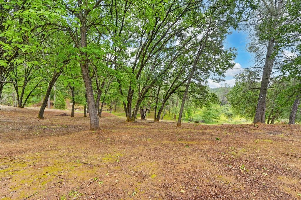 Detail Gallery Image 84 of 90 For 25375 Pineview Dr, Colfax,  CA 95713 - 3 Beds | 2 Baths