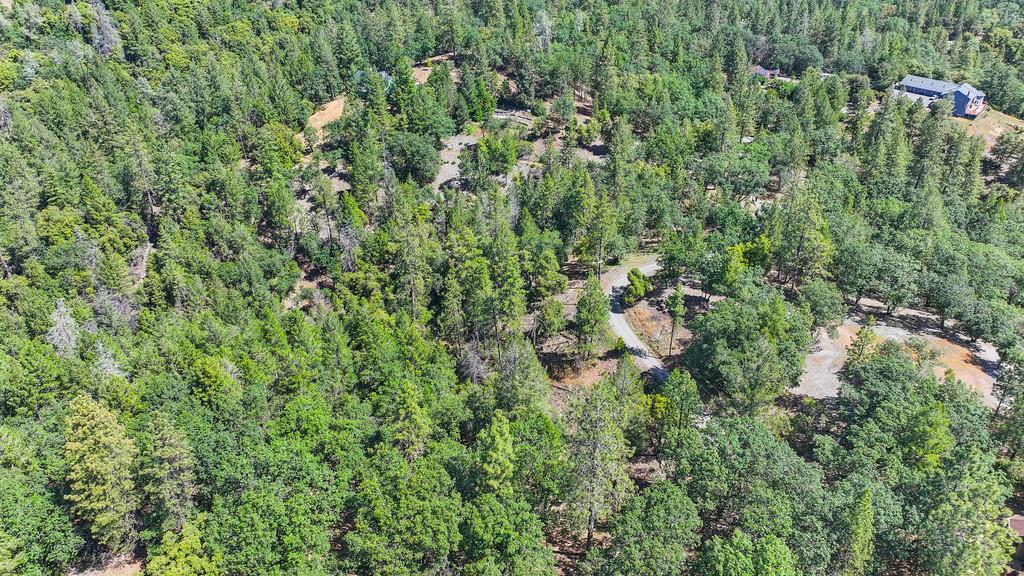 Detail Gallery Image 56 of 59 For 0 John Muir Dr, Colfax,  CA 95713 - – Beds | – Baths