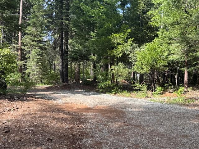 Casci Road, Nevada City, California image 46