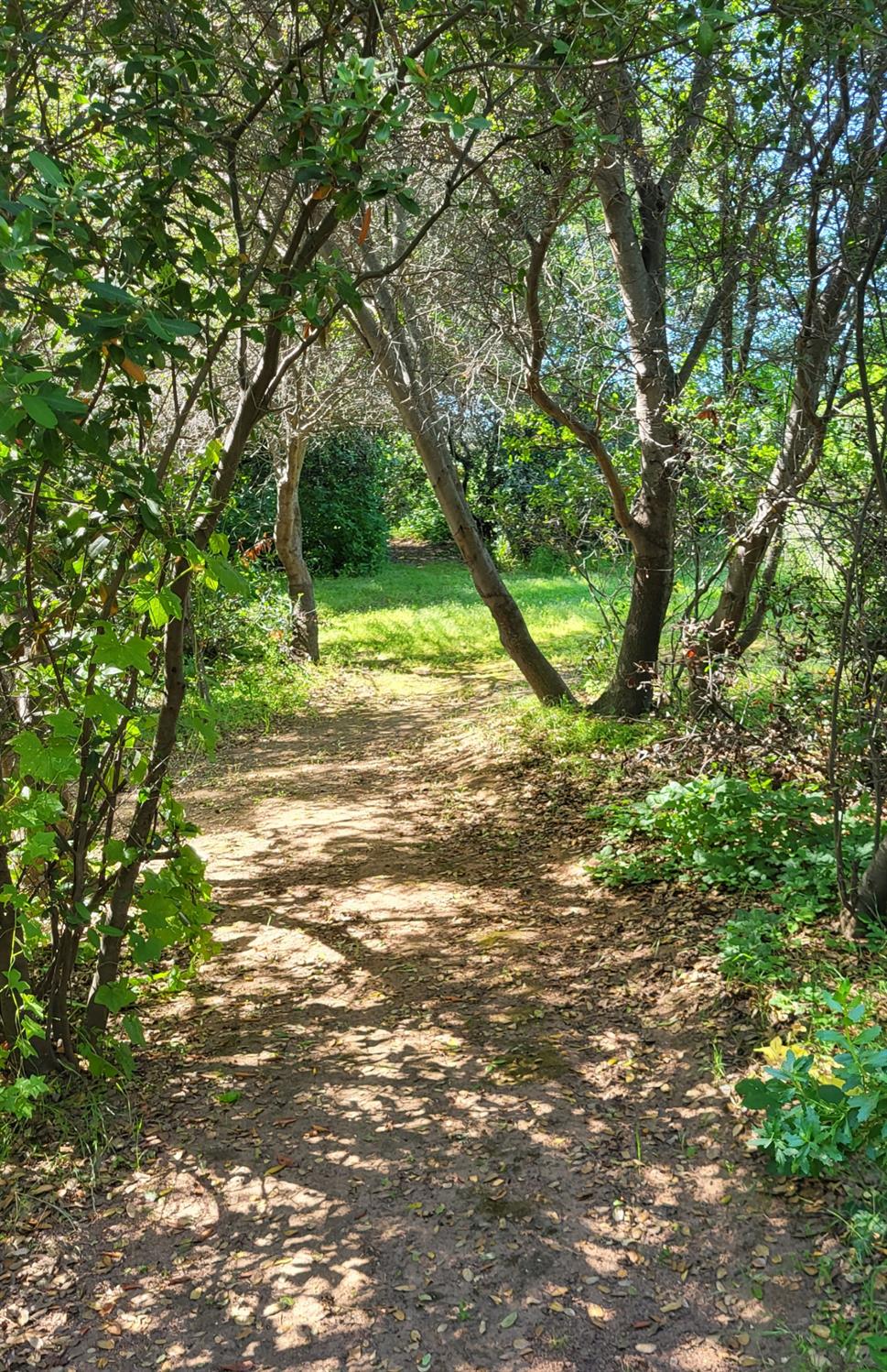 Detail Gallery Image 58 of 78 For 1374 Orange Hill Ln, Penryn,  CA 95663 - 4 Beds | 2 Baths