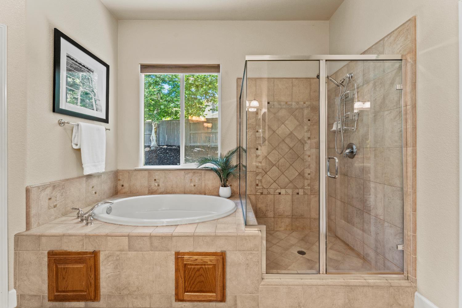 Esatto Place, El Dorado Hills, California image 24