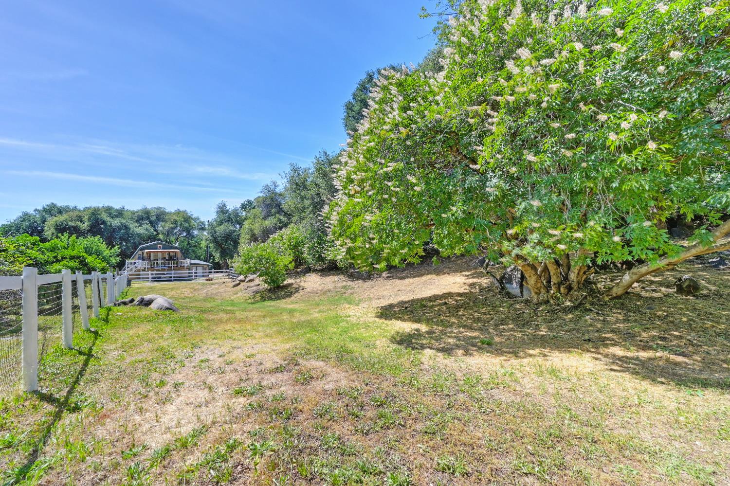 Detail Gallery Image 51 of 97 For 4141 Prospector Rd, Loomis,  CA 95650 - 4 Beds | 2 Baths