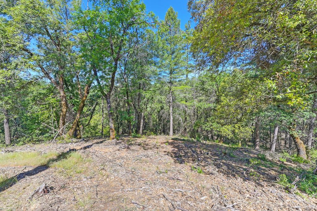 Detail Gallery Image 46 of 59 For 0 John Muir Dr, Colfax,  CA 95713 - – Beds | – Baths
