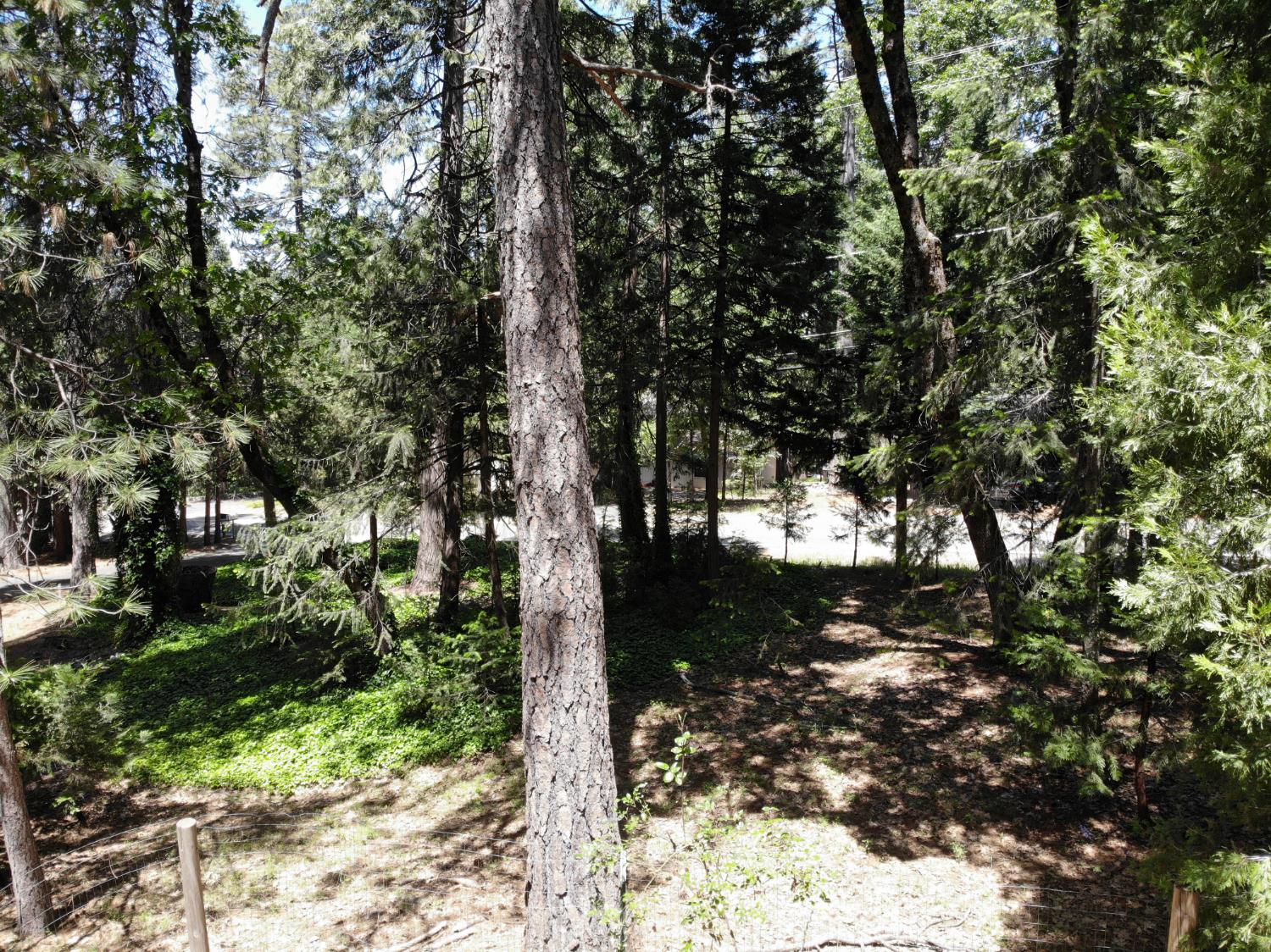 Quaker Hill Cross Road, Nevada City, California image 10