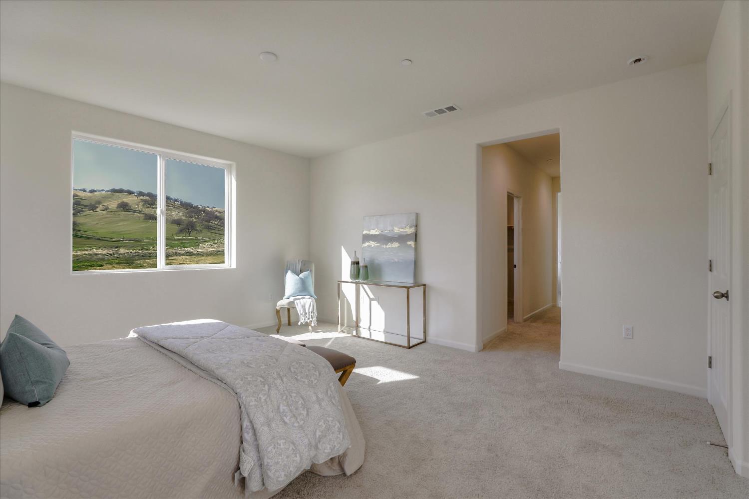 Detail Gallery Image 19 of 21 For 21051 Pinot Noir Dr, Patterson,  CA 95363 - 5 Beds | 3 Baths