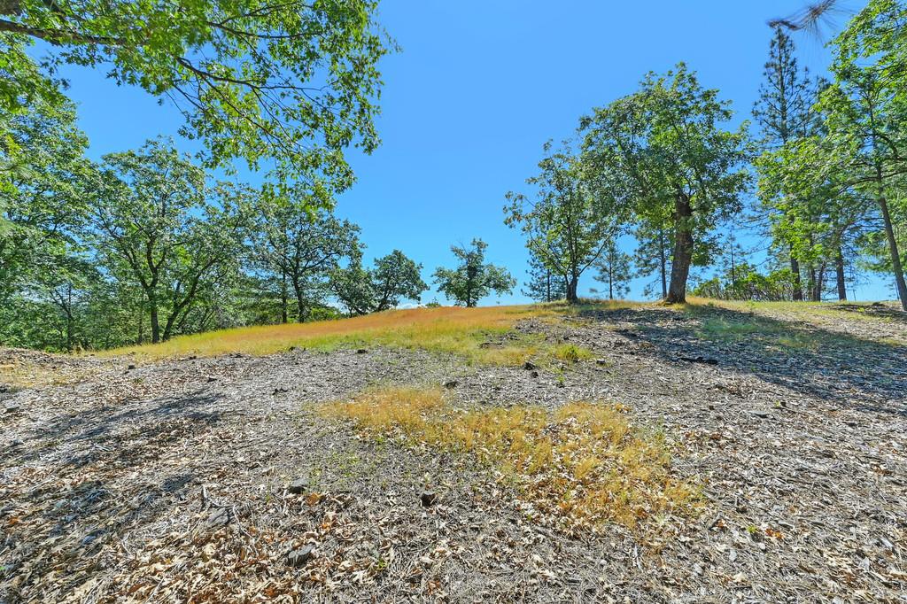 Detail Gallery Image 19 of 59 For 0 John Muir Dr, Colfax,  CA 95713 - – Beds | – Baths