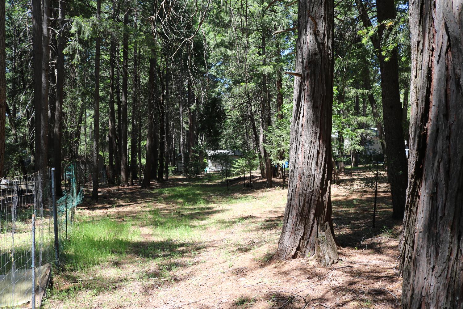 Quaker Hill Cross Road, Nevada City, California image 32