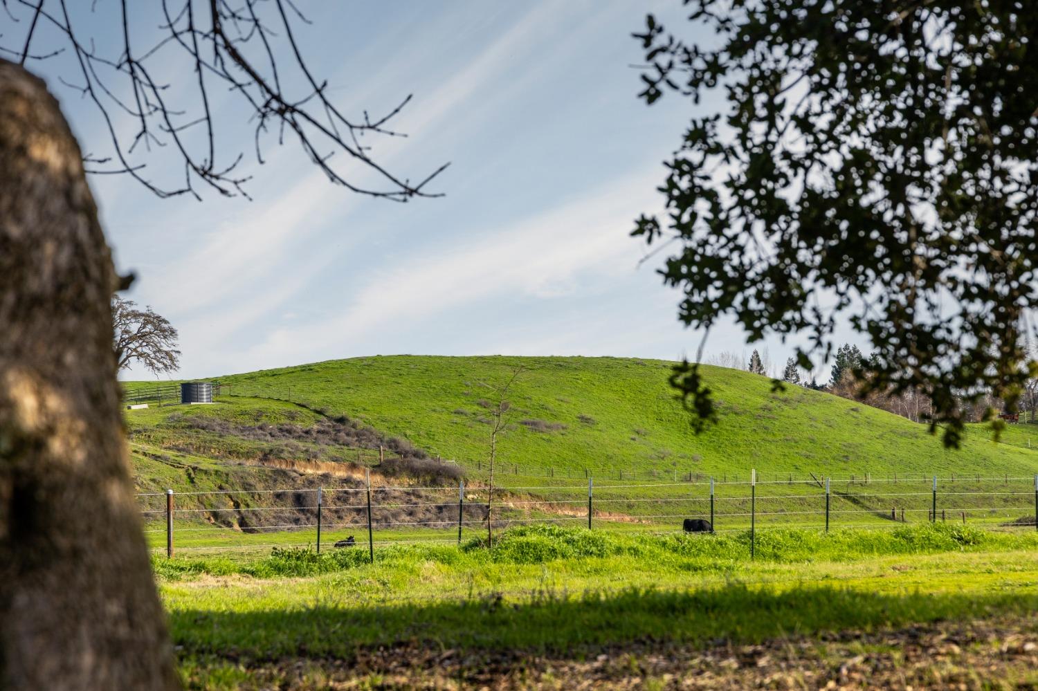 Detail Gallery Image 27 of 31 For 25045 N Mcintire Rd, Clements,  CA 95227 - – Beds | – Baths