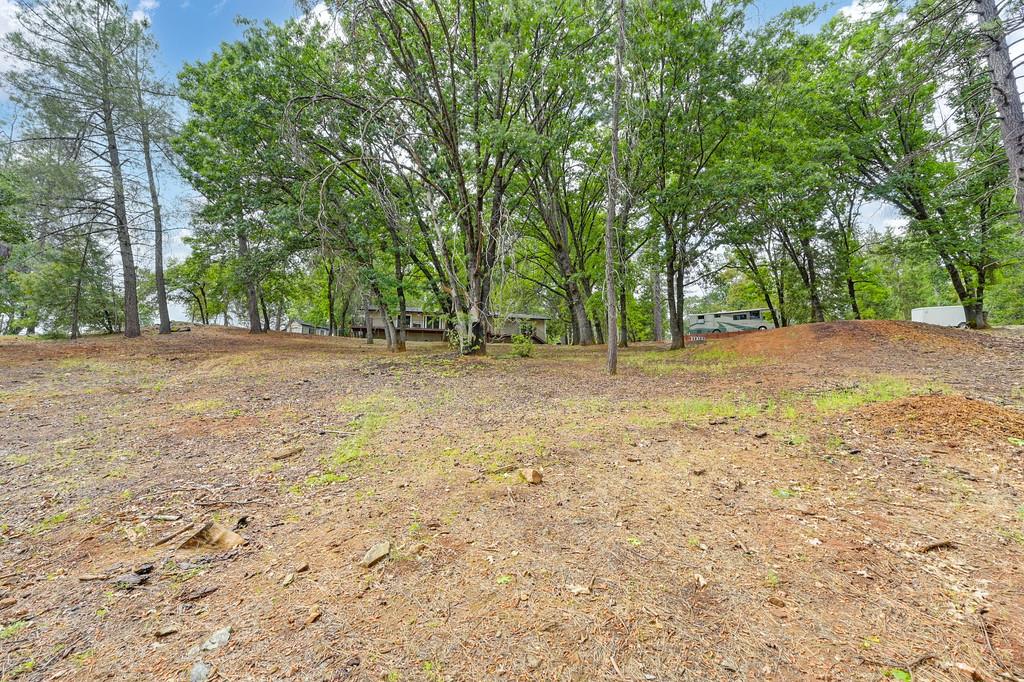 Detail Gallery Image 79 of 90 For 25375 Pineview Dr, Colfax,  CA 95713 - 3 Beds | 2 Baths