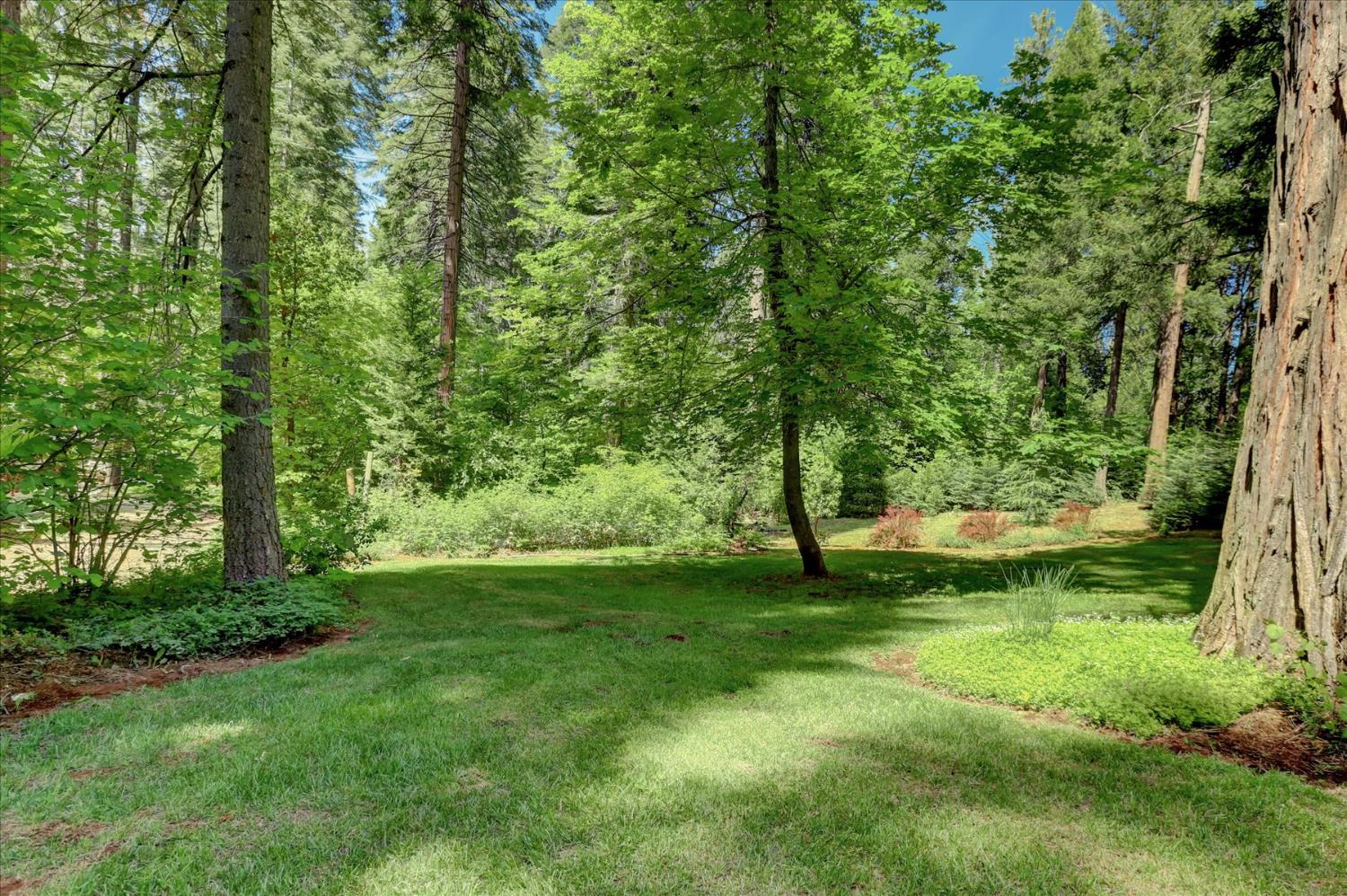 Detail Gallery Image 48 of 88 For 12756 Lonesome Dove Trl, Nevada City,  CA 95959 - 3 Beds | 2 Baths