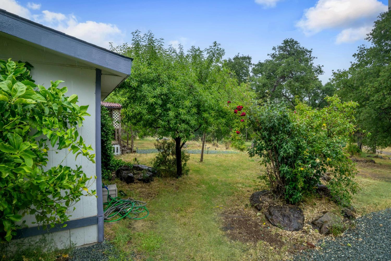 Detail Gallery Image 39 of 47 For 12606 Black Rd, –,  CA 95977 - 3 Beds | 2 Baths