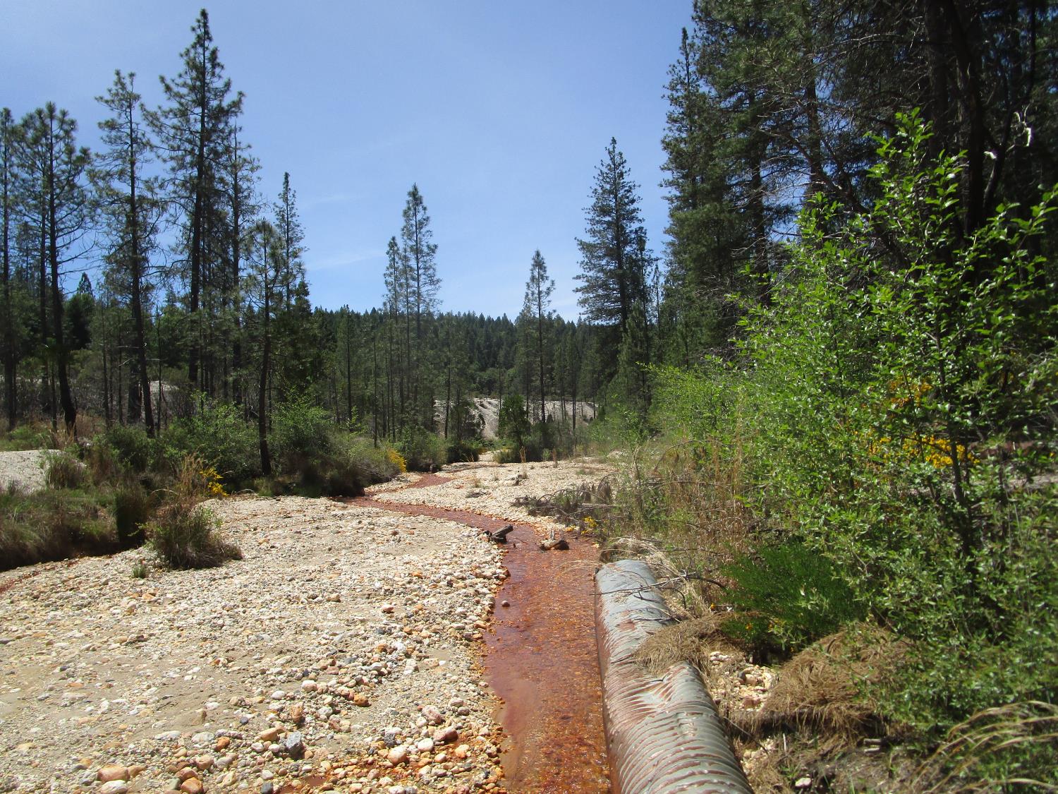 Detail Gallery Image 12 of 24 For 15699 Tyler Foote Rd, Nevada City,  CA 95959 - – Beds | – Baths