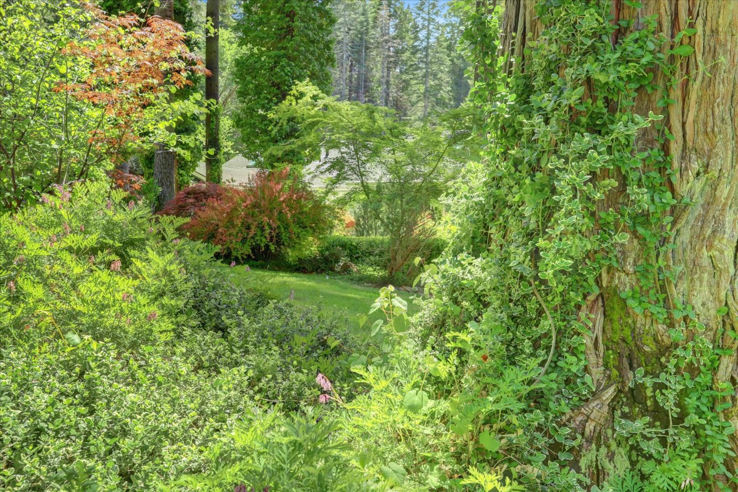 Detail Gallery Image 57 of 88 For 12756 Lonesome Dove Trl, Nevada City,  CA 95959 - 3 Beds | 2 Baths