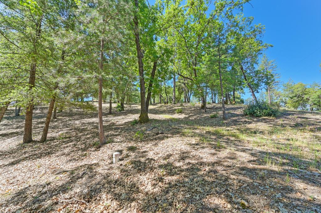 Detail Gallery Image 15 of 59 For 0 John Muir Dr, Colfax,  CA 95713 - – Beds | – Baths