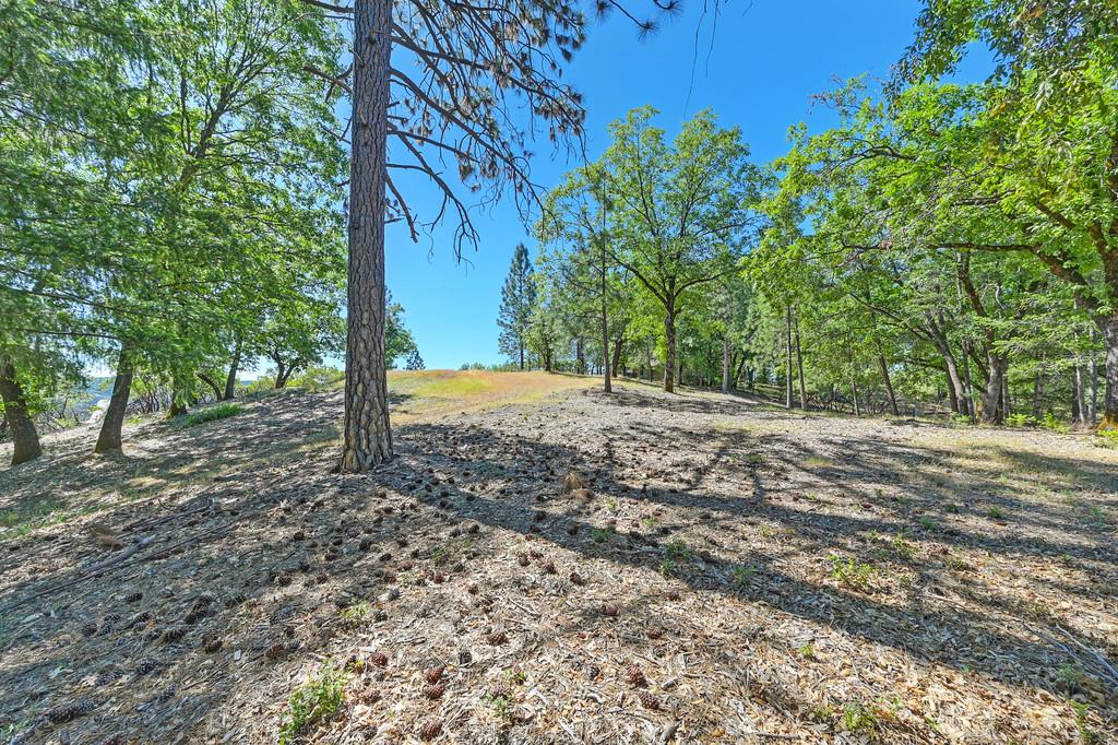 Detail Gallery Image 20 of 59 For 0 John Muir Dr, Colfax,  CA 95713 - – Beds | – Baths
