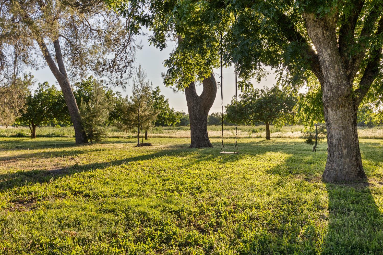 Detail Gallery Image 90 of 99 For 400 Roberts Rd, Colusa,  CA 95932 - 4 Beds | 3/1 Baths