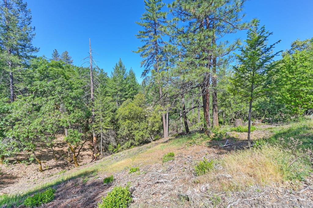 Detail Gallery Image 45 of 59 For 0 John Muir Dr, Colfax,  CA 95713 - – Beds | – Baths