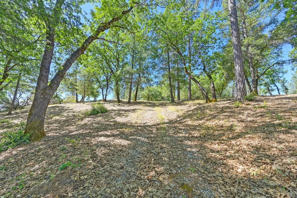 Detail Gallery Image 17 of 59 For 0 John Muir Dr, Colfax,  CA 95713 - – Beds | – Baths