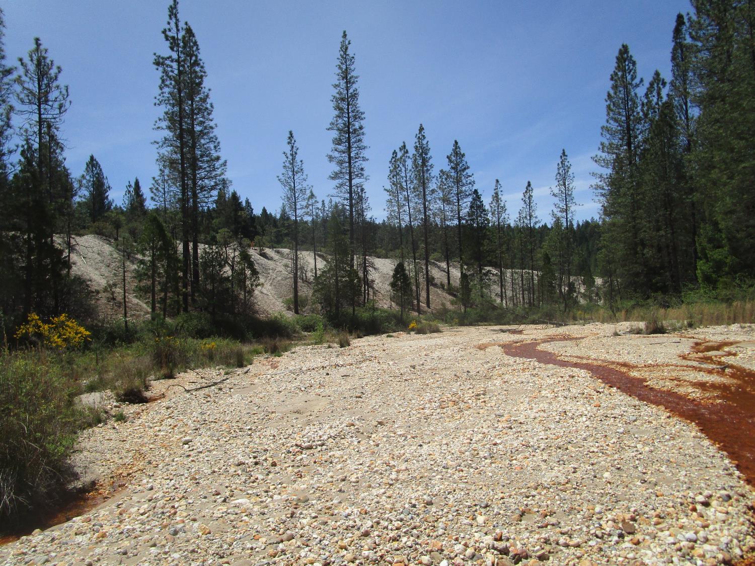 Detail Gallery Image 7 of 24 For 15699 Tyler Foote Rd, Nevada City,  CA 95959 - – Beds | – Baths