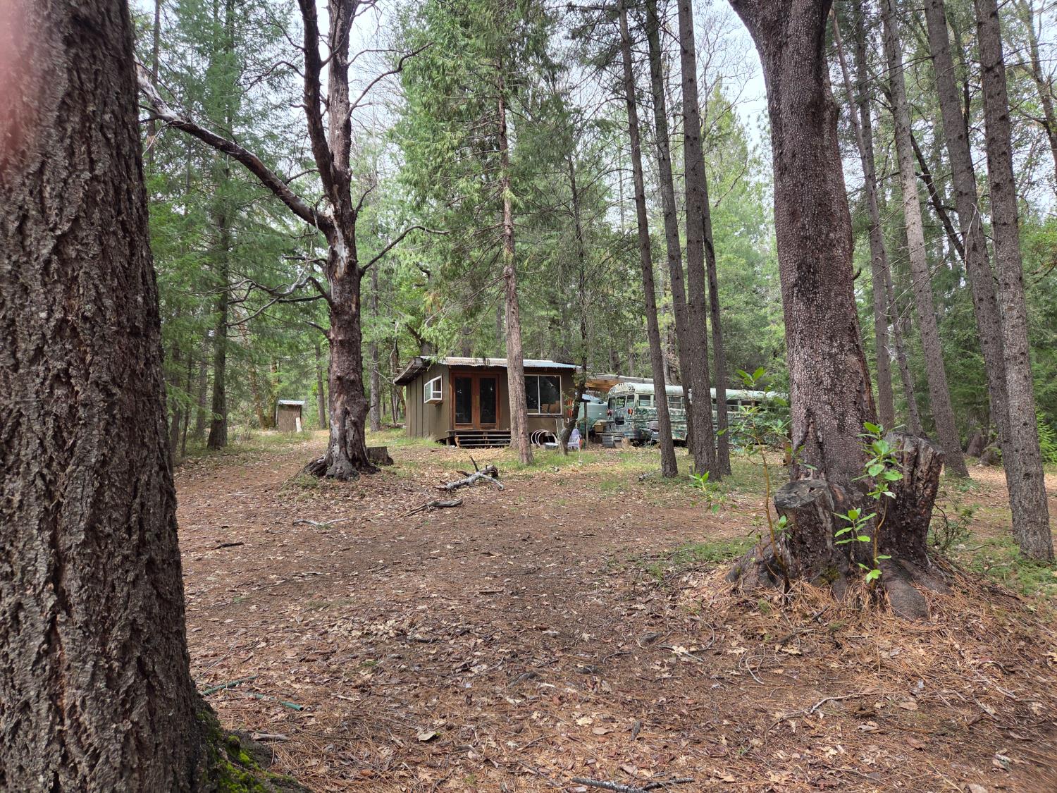 N. Canyon, Nevada City, California image 17