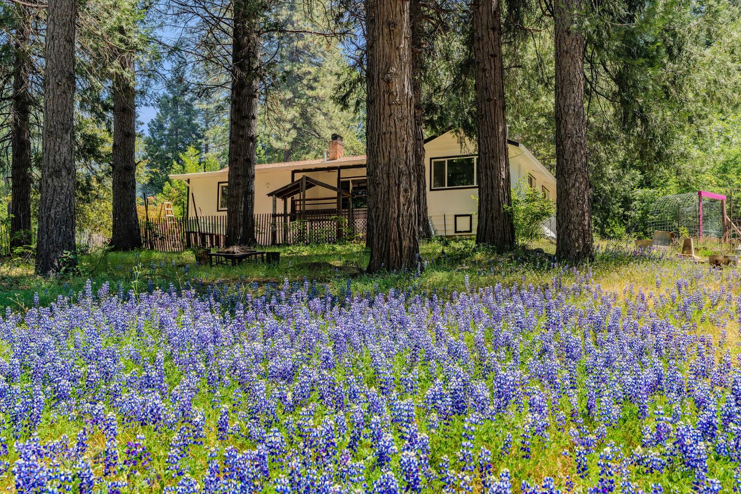 Detail Gallery Image 38 of 43 For 14490 Marilyn Ln, Pioneer,  CA 95666 - 2 Beds | 2 Baths