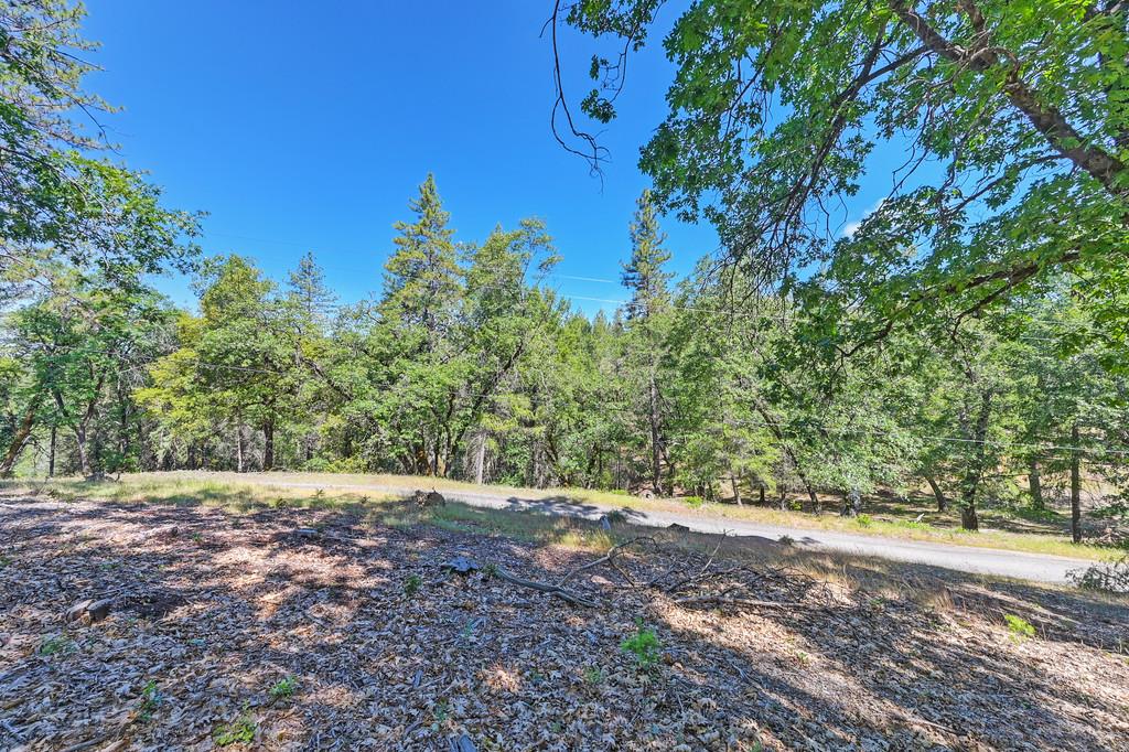 Detail Gallery Image 38 of 59 For 0 John Muir Dr, Colfax,  CA 95713 - – Beds | – Baths