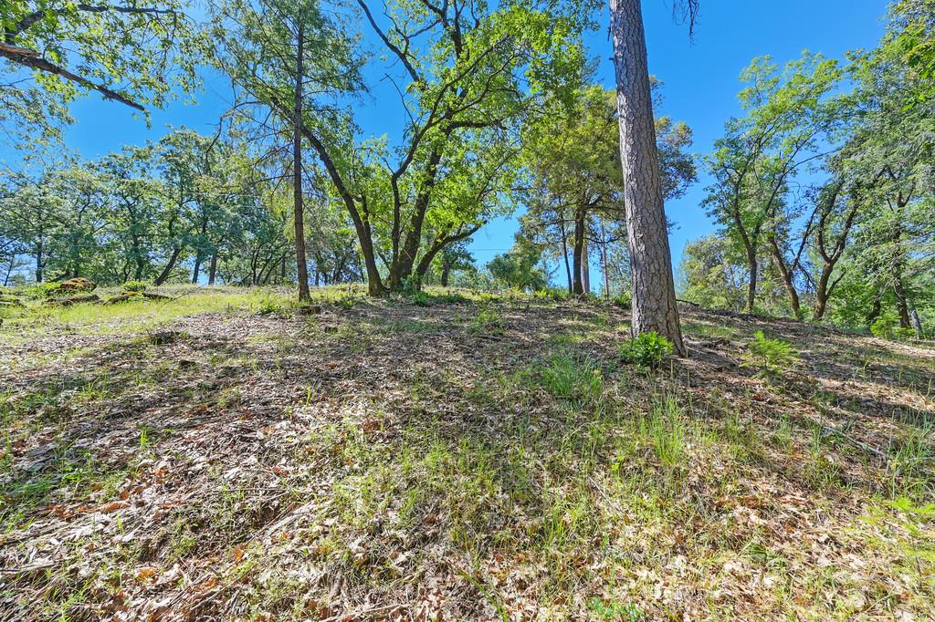 Detail Gallery Image 48 of 59 For 0 John Muir Dr, Colfax,  CA 95713 - – Beds | – Baths