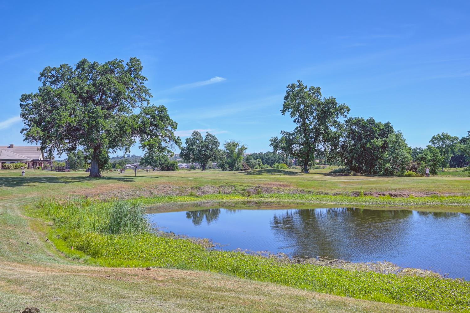 Detail Gallery Image 63 of 88 For 620 Castle Oaks Dr, Ione,  CA 95640 - 4 Beds | 2/1 Baths