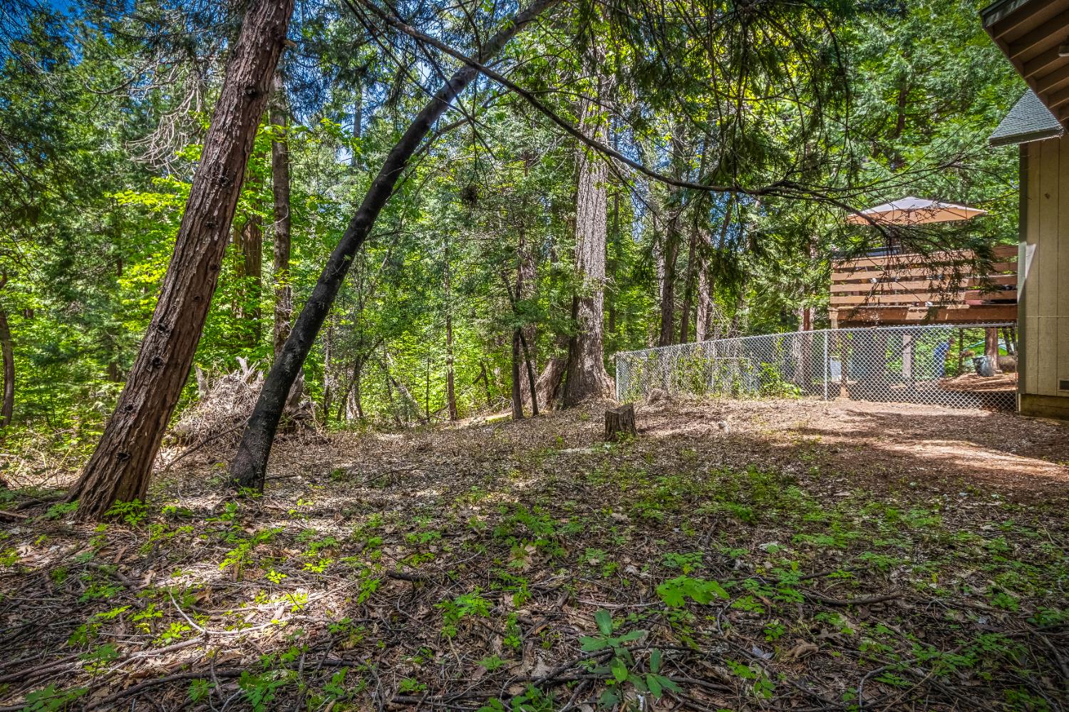 Maple Avenue, Pollock Pines, California image 29