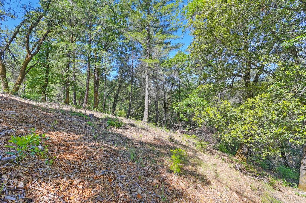 Detail Gallery Image 49 of 59 For 0 John Muir Dr, Colfax,  CA 95713 - – Beds | – Baths