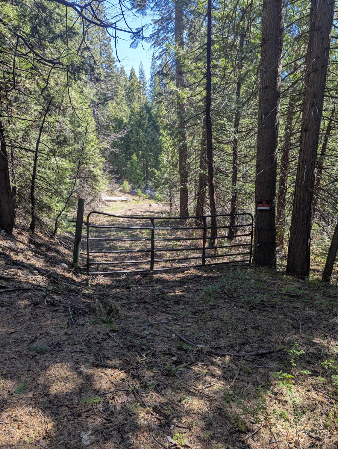 Detail Gallery Image 4 of 18 For 0 Texas Hill, Emigrant Gap,  CA 95715 - – Beds | – Baths