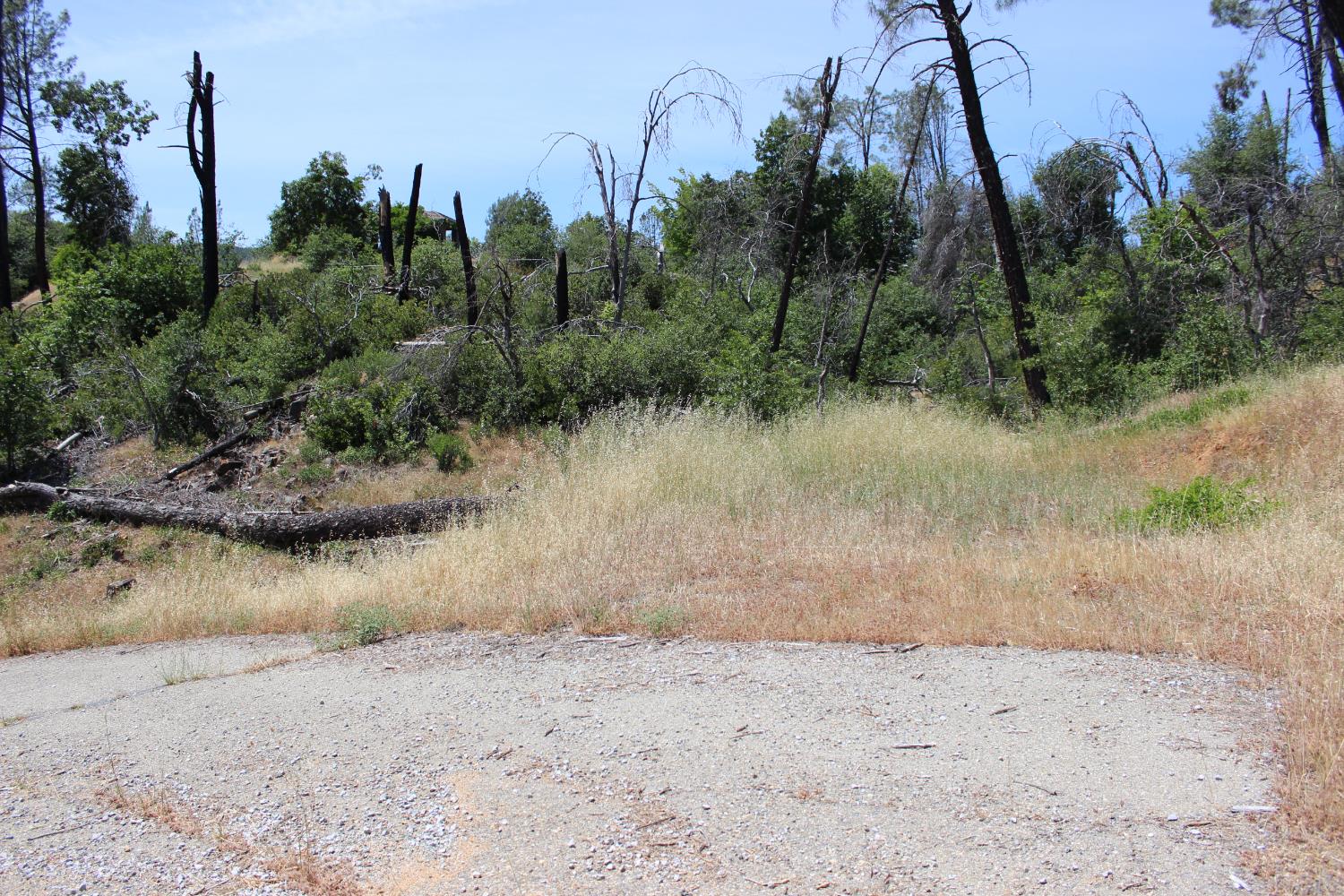 Carrousel Drive, Redding, California image 24