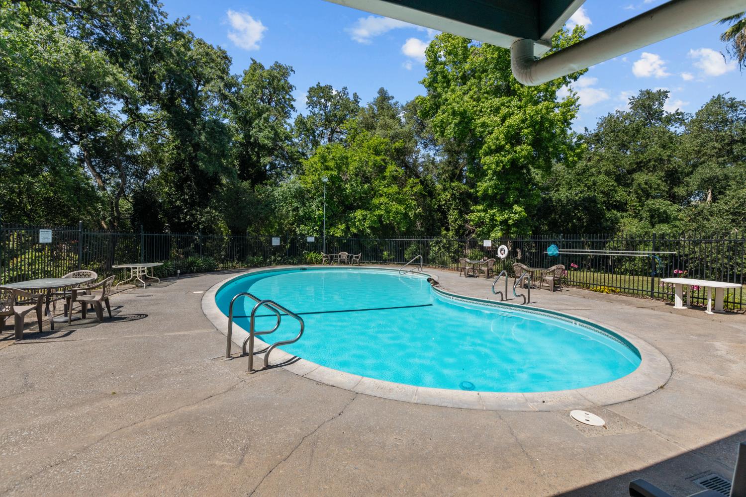 Photo #31: 225062559 Listing: Photo #31