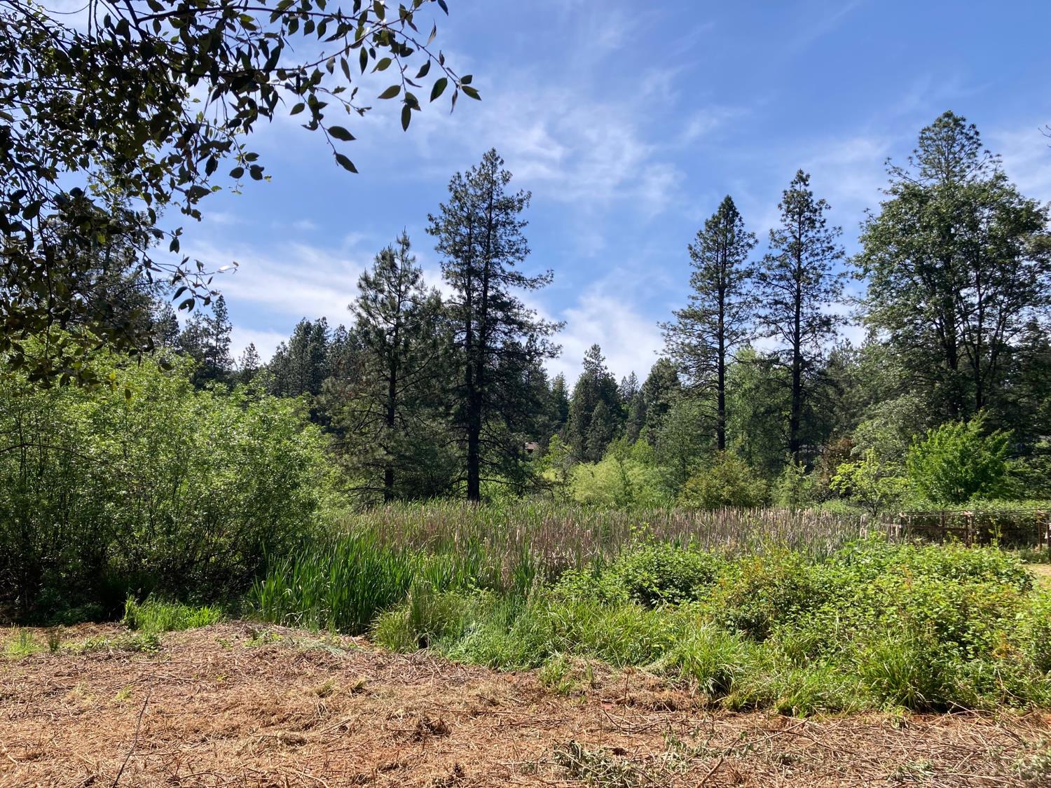 Detail Gallery Image 5 of 8 For 15750 Gary Way, Grass Valley,  CA 95949 - – Beds | – Baths