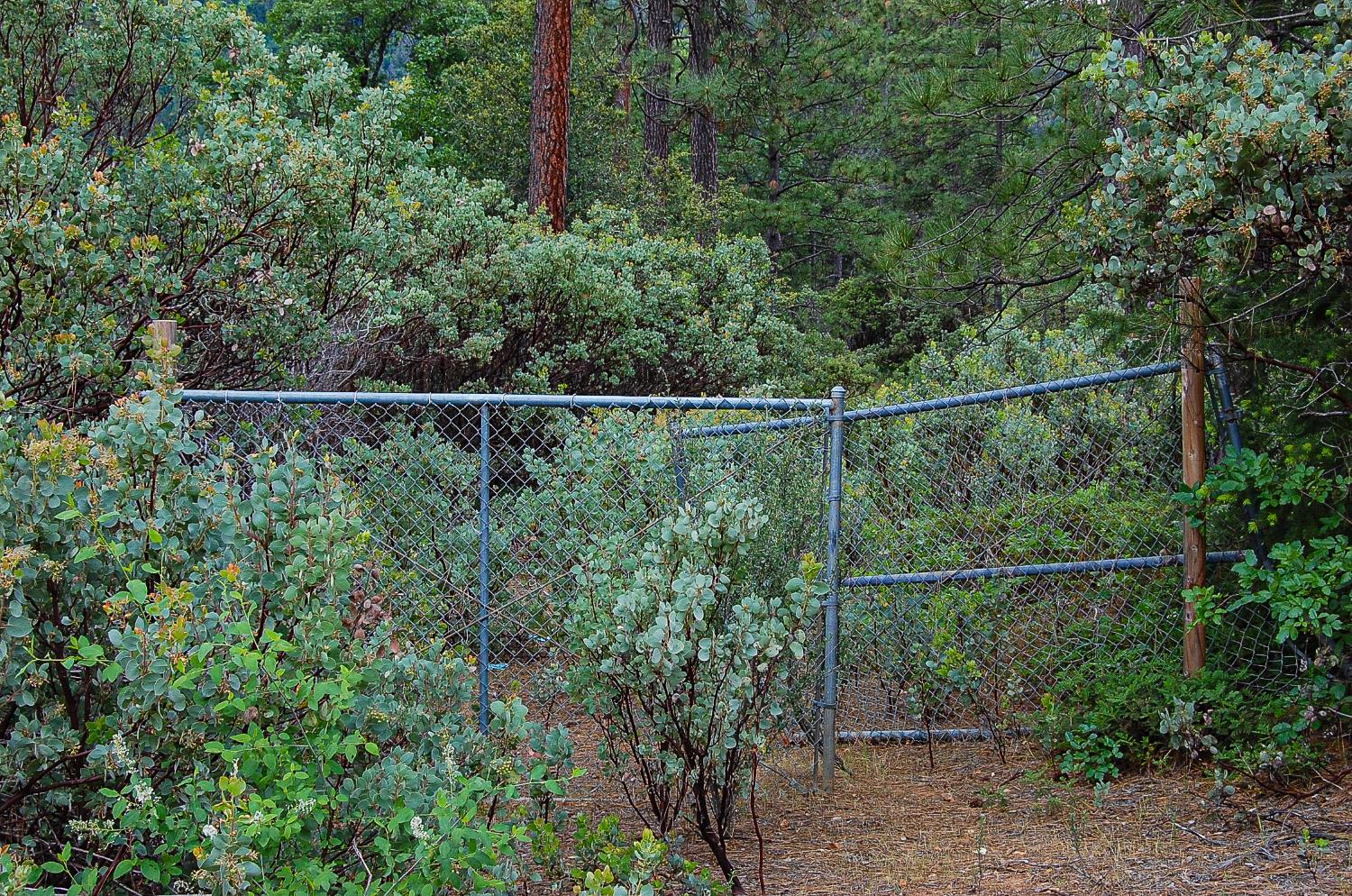 Detail Gallery Image 41 of 45 For 2676 Silver Mountain Rd, Rail Road Flat,  CA 95248 - – Beds | – Baths