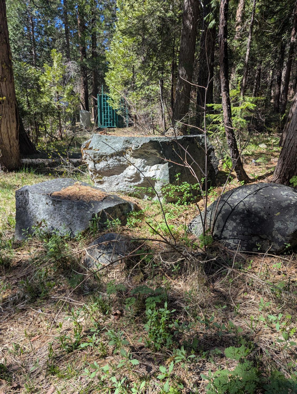 Detail Gallery Image 10 of 18 For 0 Texas Hill, Emigrant Gap,  CA 95715 - – Beds | – Baths