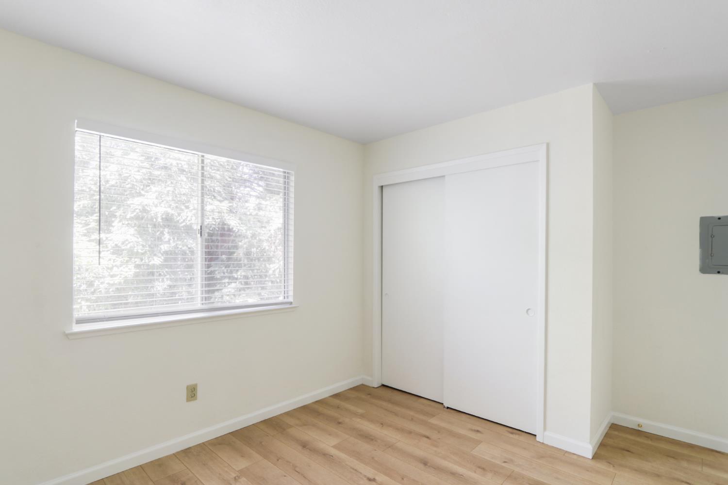 Photo #19: 225063516 Listing: Photo #19
