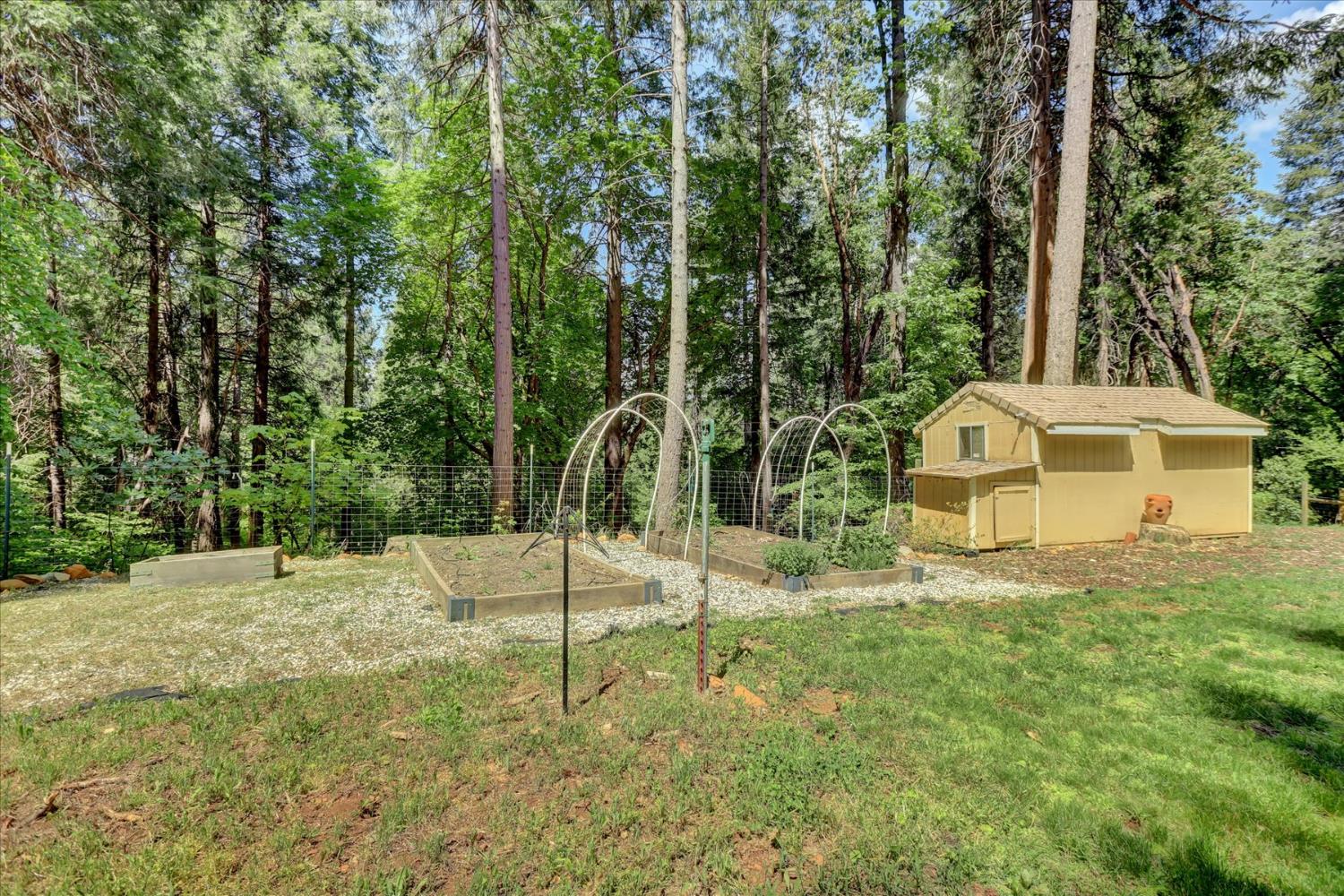 Detail Gallery Image 77 of 90 For 12569 Pasquale Rd, Nevada City,  CA 95959 - 2 Beds | 2 Baths