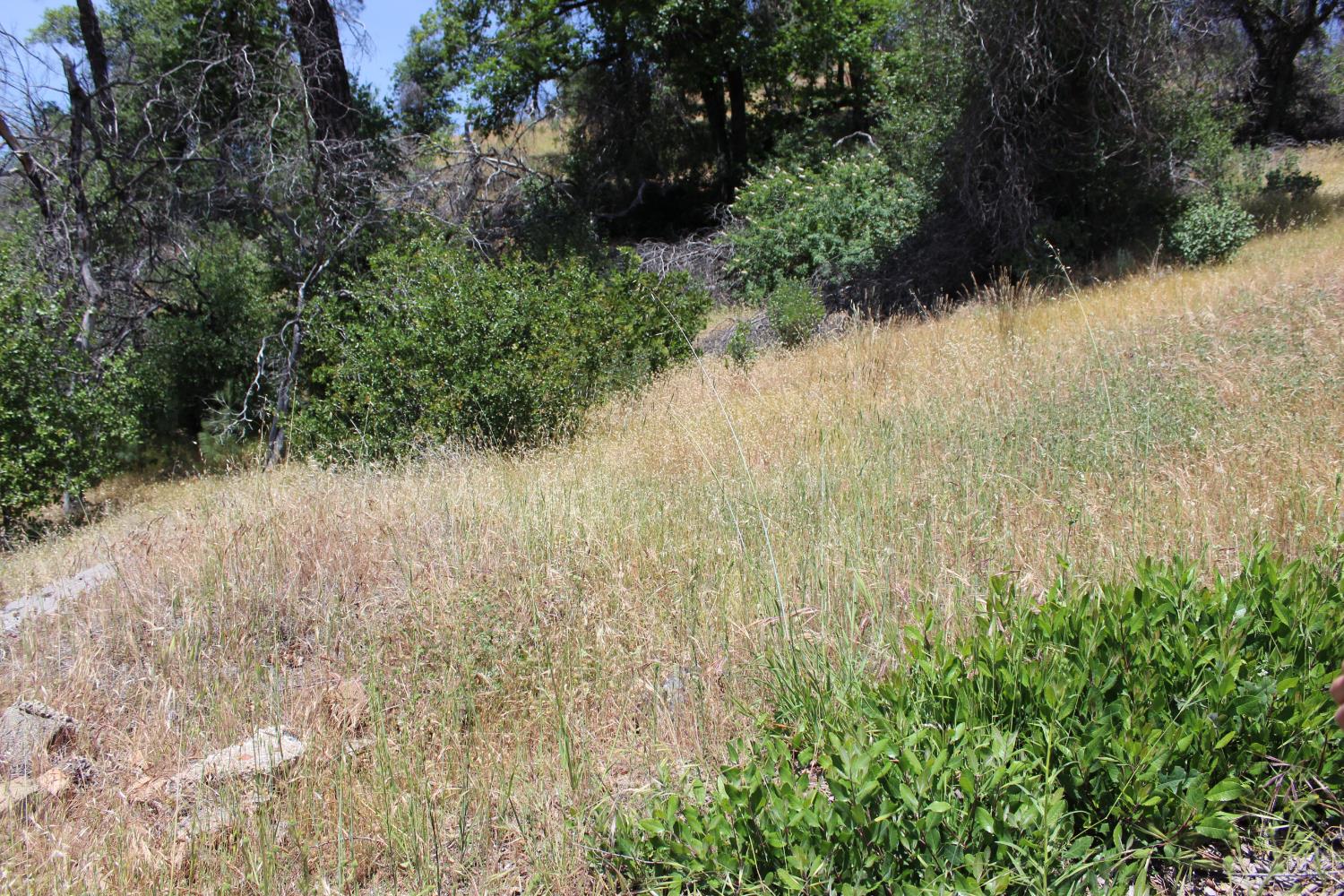 Carrousel Drive, Redding, California image 25