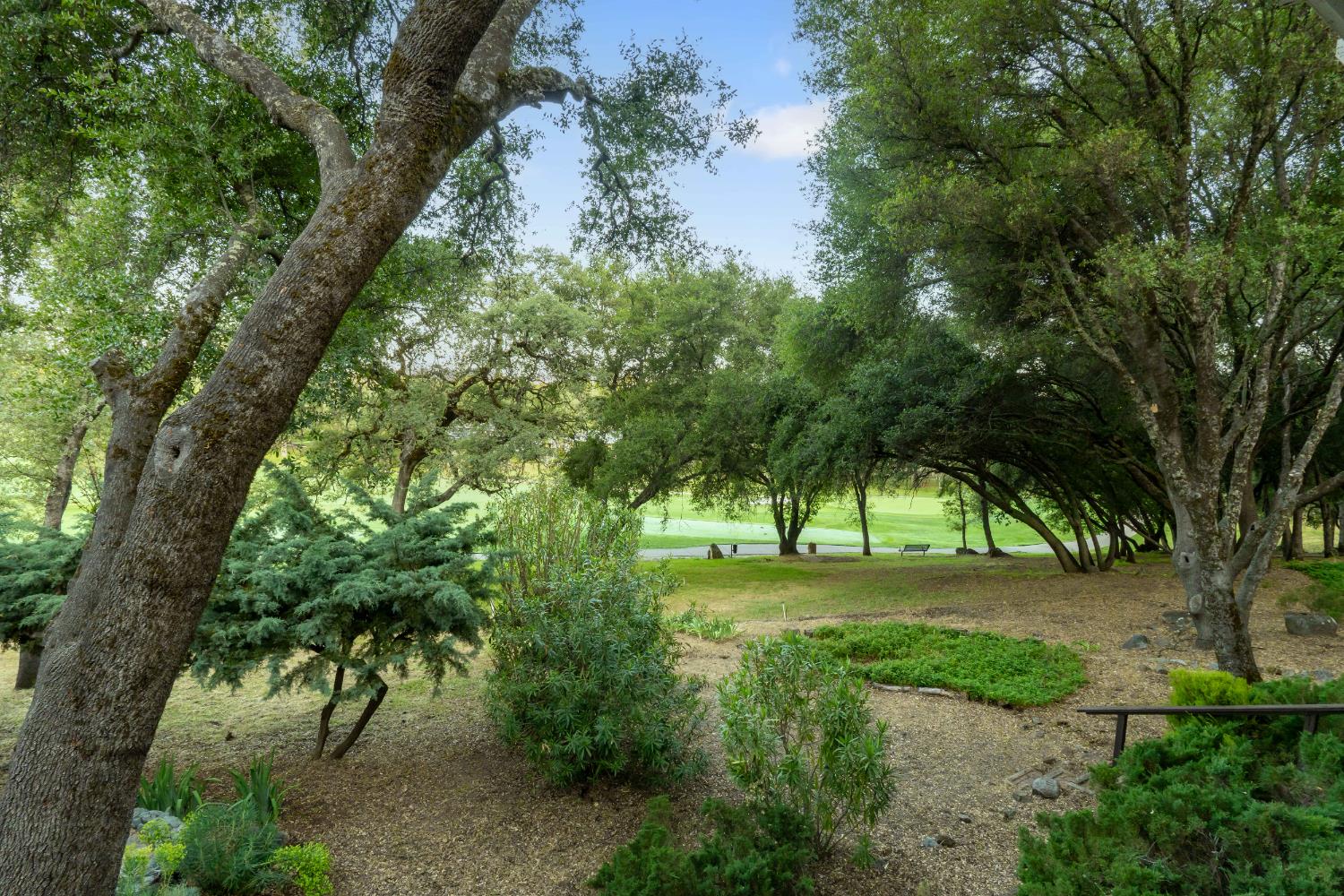 Detail Gallery Image 59 of 75 For 12540 Lake Wildwood Drive, Penn Valley,  CA 95946 - 4 Beds | 2 Baths