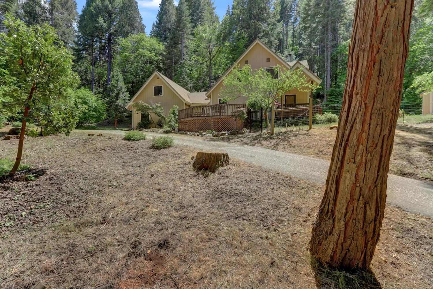 Detail Gallery Image 55 of 90 For 12569 Pasquale Rd, Nevada City,  CA 95959 - 2 Beds | 2 Baths