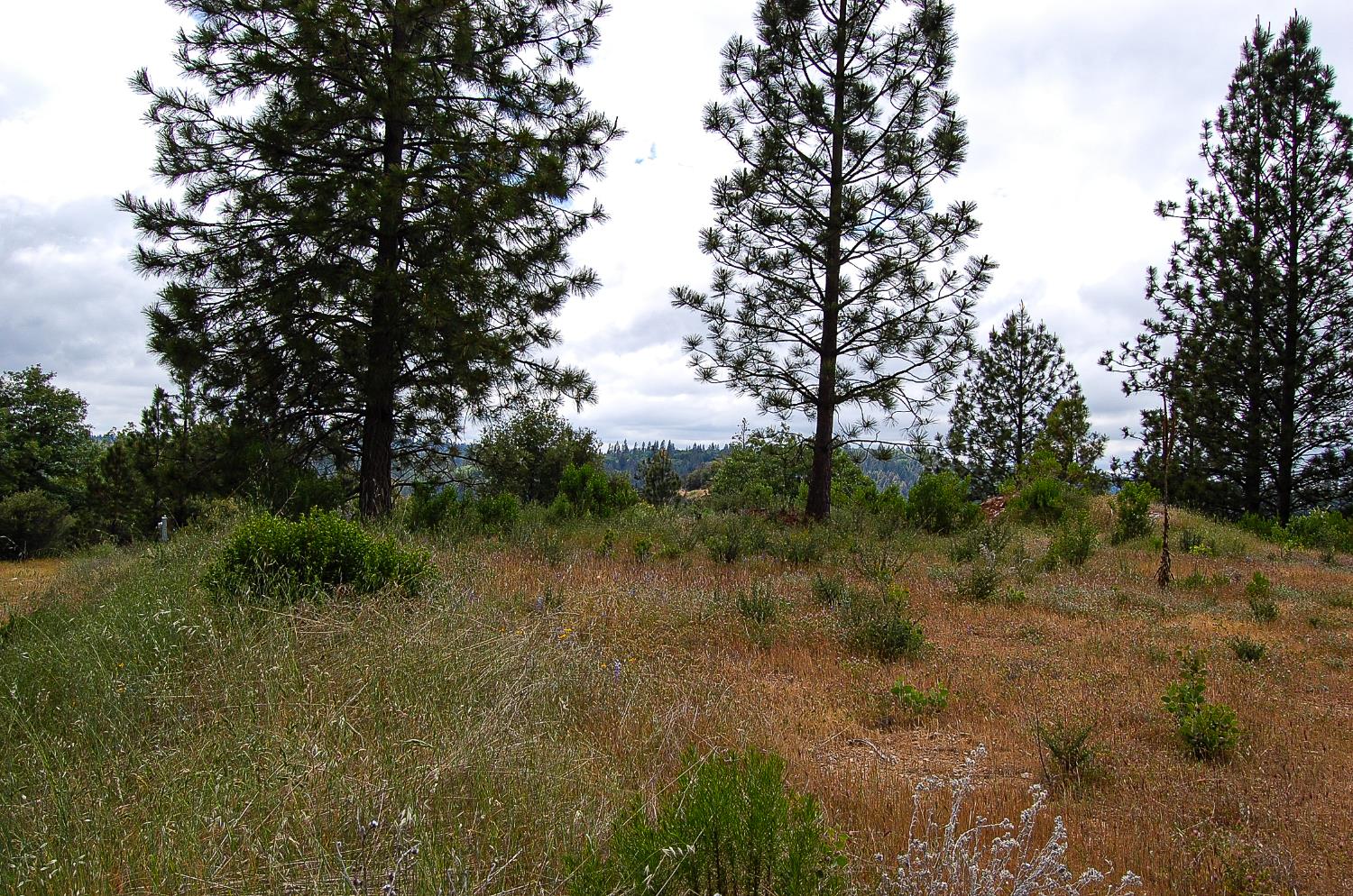 Detail Gallery Image 32 of 45 For 2676 Silver Mountain Rd, Rail Road Flat,  CA 95248 - – Beds | – Baths