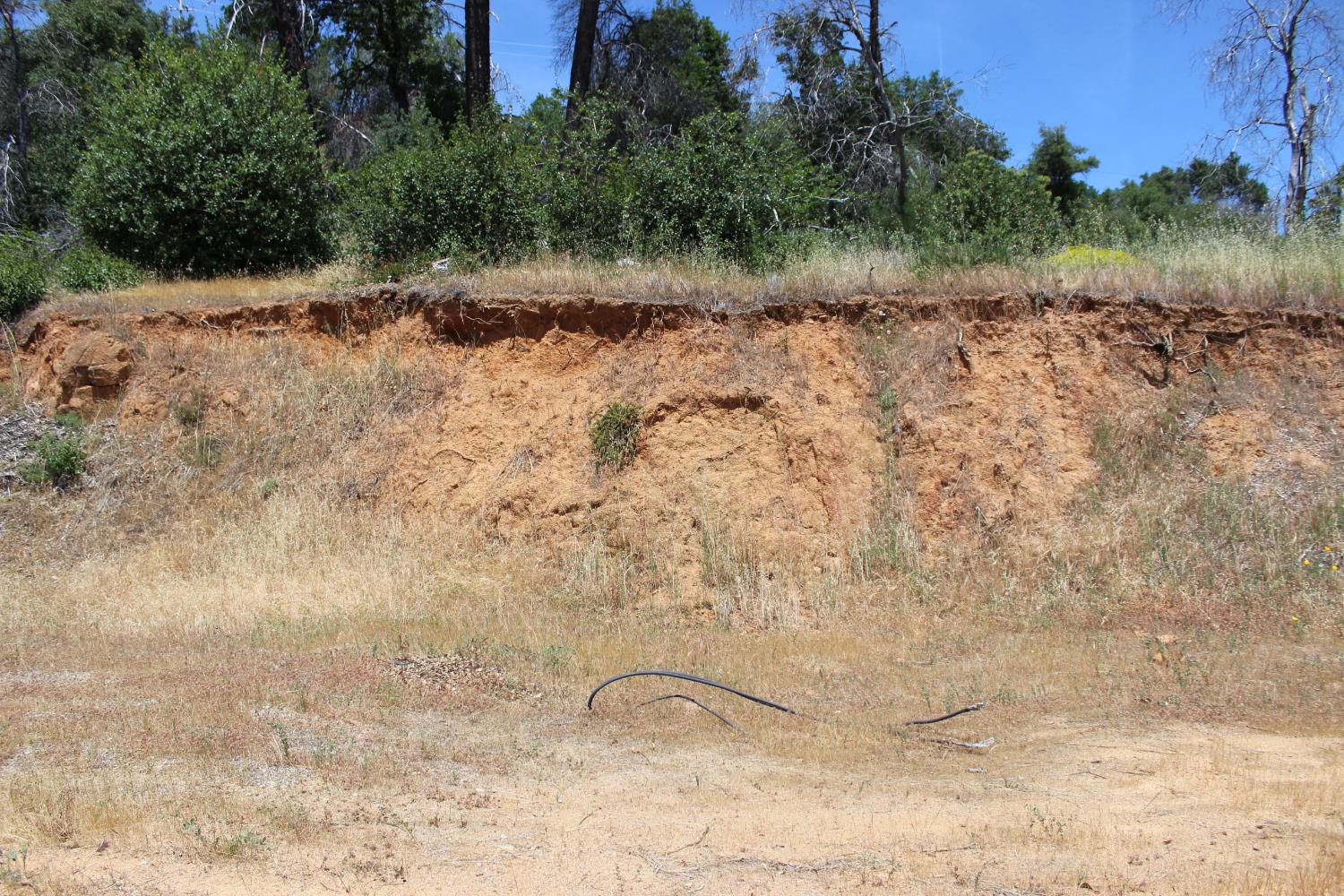 Carrousel Drive, Redding, California image 6